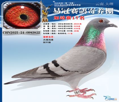 �����׹ڼ�վ��17��