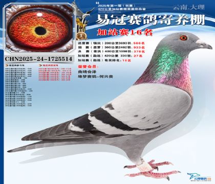 �����׹ڼ�վ��16��