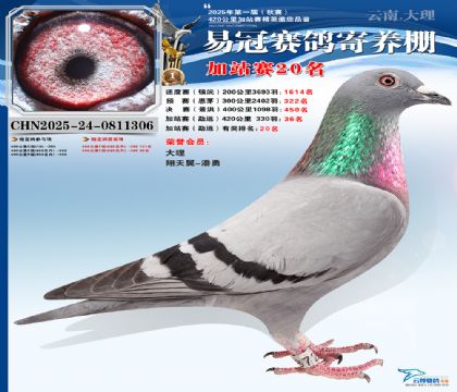 �����׹ڼ�վ��20��