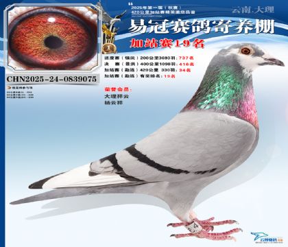 �����׹ڼ�վ��19��