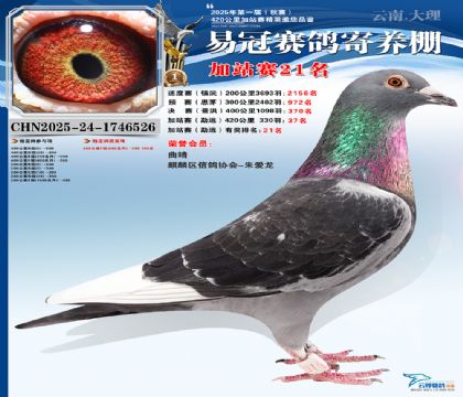 �����׹ڼ�վ��21��