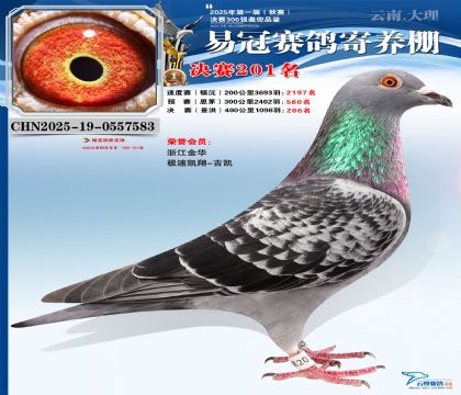 �����׹ھ���201��