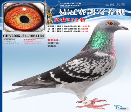 �����׹ھ���202��