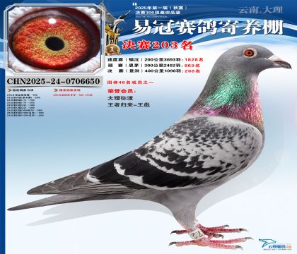 �����׹ھ���203��