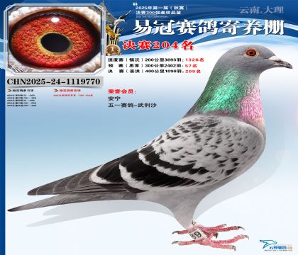 �����׹ھ���204��