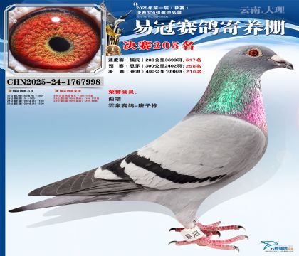 �����׹ھ���205��