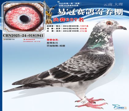 �����׹ھ���207��