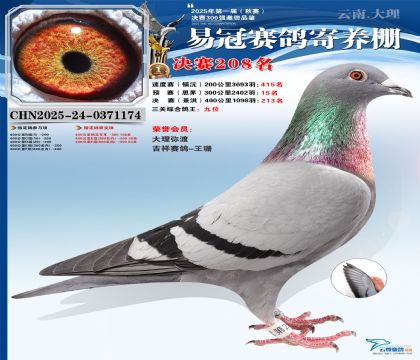 �����׹ھ���208�������ظ���9����