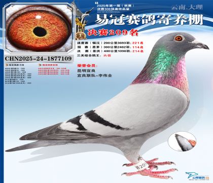 �����׹ھ���209�������ظ���6����