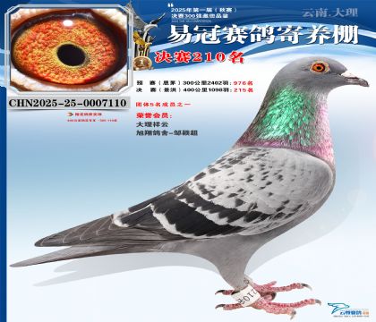 �����׹ھ���210��