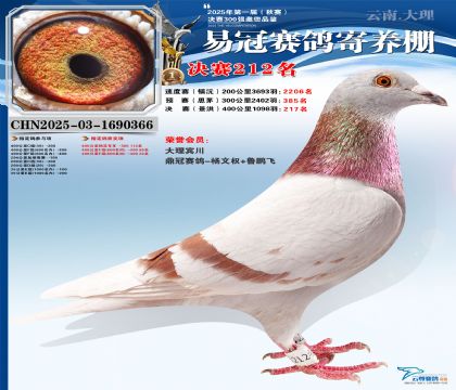 �����׹ھ���212��