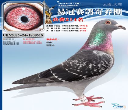 �����׹ھ���214��