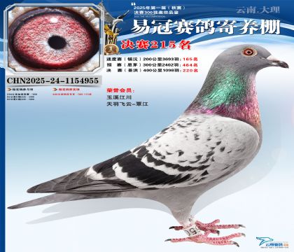 �����׹ھ���215��