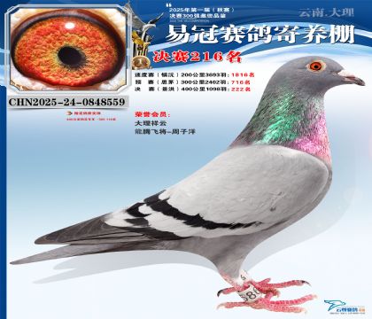 �����׹ھ���216��