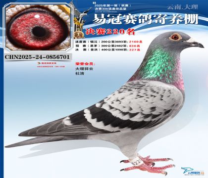 �����׹ھ���220��