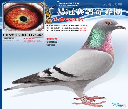 �����׹ھ���223��