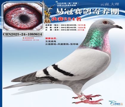 �����׹ھ���224��