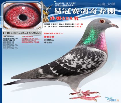 �����׹ھ���226��