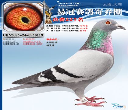 �����׹ھ���227��