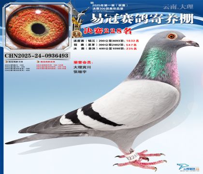 �����׹ھ���228��