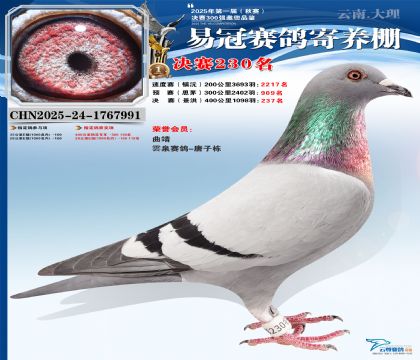 �����׹ھ���230��