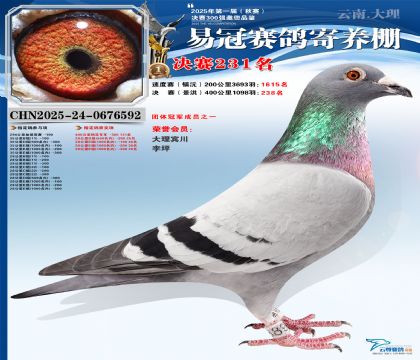 �����׹ھ���231��