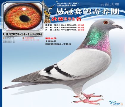 �����׹ھ���232��