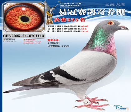 �����׹ھ���235��