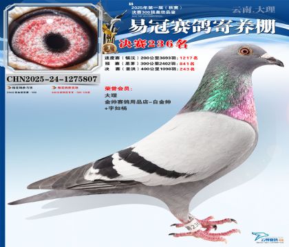 �����׹ھ���236��