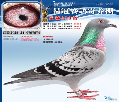 �����׹ھ���239��