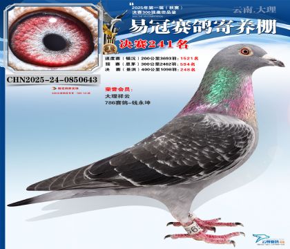 �����׹ھ���241��