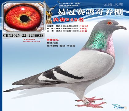 �����׹ھ���242��