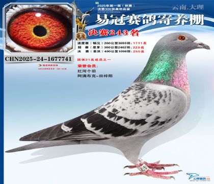 �����׹ھ���243��