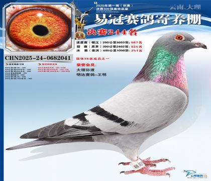 �����׹ھ���244��