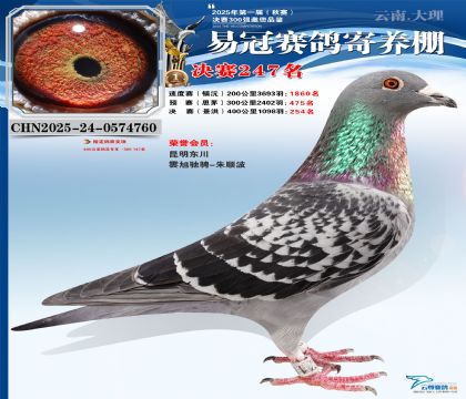 �����׹ھ���247��