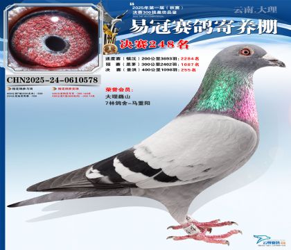 �����׹ھ���248��