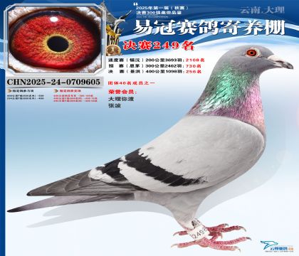 �����׹ھ���249��