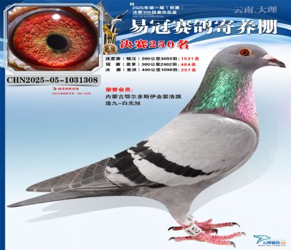 �����׹ھ���250��