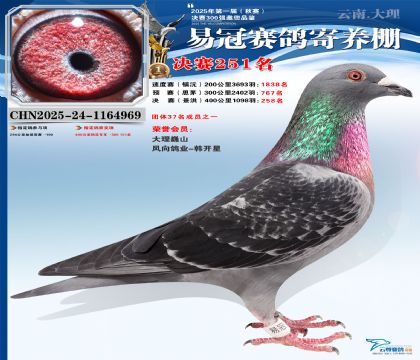 �����׹ھ���251��