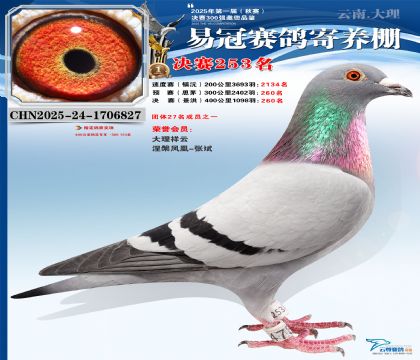 �����׹ھ���253��