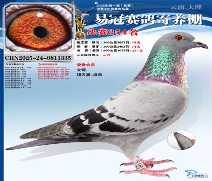 �����׹ھ���254�������ظ����Ǿ���