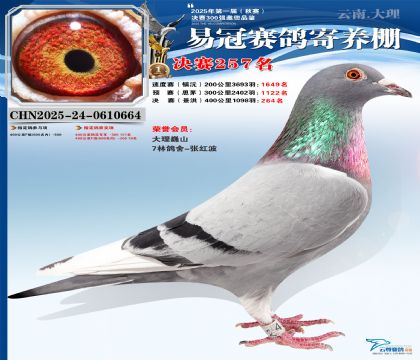 �����׹ھ���257��