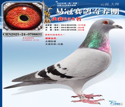 �����׹ھ���258��