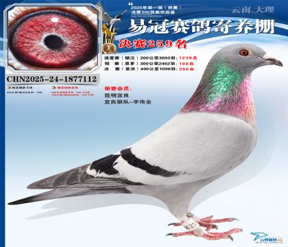 �����׹ھ���259��