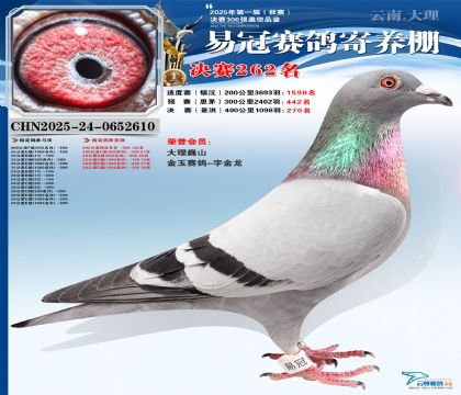 �����׹ھ���262��