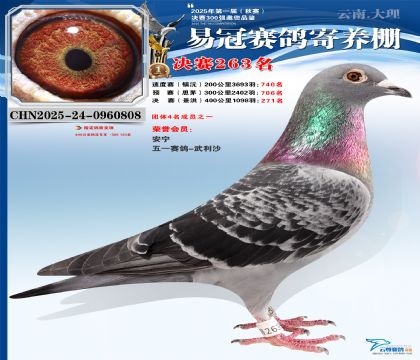 �����׹ھ���263��