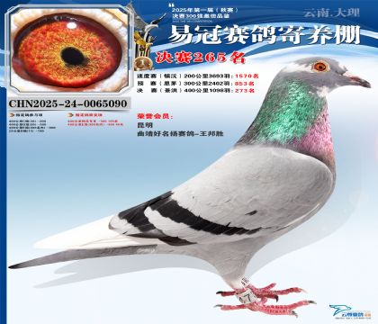 �����׹ھ���265��