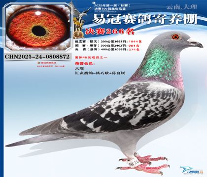 �����׹ھ���266��