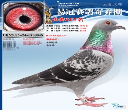 �����׹ھ���267��