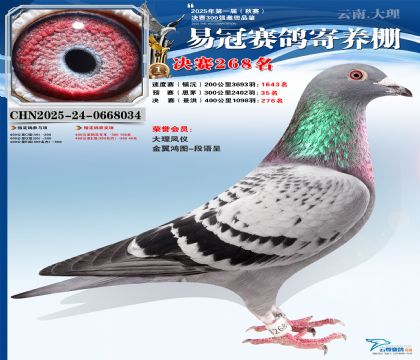 �����׹ھ���268��